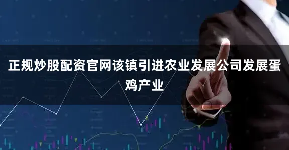 正规炒股配资官网该镇引进农业发展公司发展蛋鸡产业