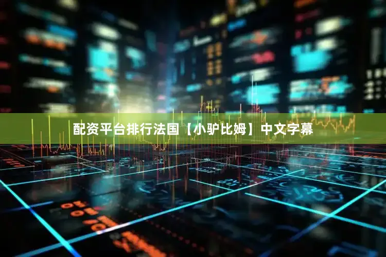 配资平台排行法国【小驴比姆】中文字幕