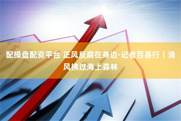 配操盘配资平台 正风反腐在身边·记者百县行丨清风拂过海上森林