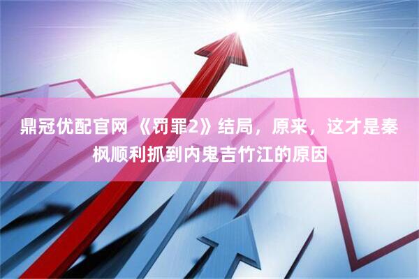 鼎冠优配官网 《罚罪2》结局，原来，这才是秦枫顺利抓到内鬼吉竹江的原因